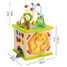 Country Critters Play Cube HA-E1810 Hape Toys 4