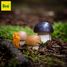 Yellow Boletus ER12260 Erzi 2