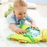 Water Play Mat Little Frog HA301467 Haba 2