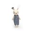Rabbit Family SM-SP4006 Speedy Monkey 2