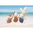 Rabbit Family SM-SP4006 Speedy Monkey 7