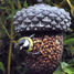 Acorn bird feeder ED-FB389 Esschert Design 4