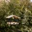 Chiffchaff hanging bird table ED-FB603 Esschert Design 10