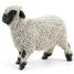 Black Nose Sheep Figurine from Valais PA-51194 Papo 3