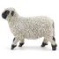 Black Nose Sheep Figurine from Valais PA-51194 Papo 5