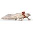 Axolotl figurine PA-56066 Papo 5