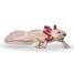 Axolotl figurine PA-56066 Papo 1
