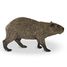 Capybara Figurine PA-50327 Papo 2