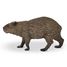 Capybara Figurine PA-50327 Papo 4