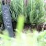 6 Slate plant marker ED-GT131 Esschert Design 4