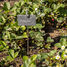 Slate plant marker on stick ED-GT132 Esschert Design 4