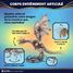 Ukrainian Ironbelly Dragon model kit U70280 Ugears 9