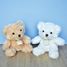 Ivory teddy bear 21 cm HO2533 Histoire d'Ours 7