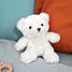 Ivory teddy bear 21 cm HO2533 Histoire d'Ours 4