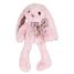 Pink Rabbit Plush 25 cm HO2434 Histoire d'Ours 2