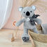 Gray koala plush toy 25 cm HO3125 Histoire d'Ours 3