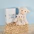 Plush lamb ivory 30 cm HO3129 Histoire d'Ours 5