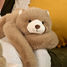 Weighted Brown Bear Plush 40 cm HO3363 Histoire d'Ours 3