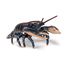 Lobster figure PA-56052 Papo 3