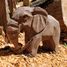 Wudimals Elephant calf WU-40465 Wudimals 5