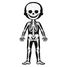 Educational puzzle Human Body J02681 Janod 4