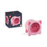 Piggy moneybox J04653 Janod 5