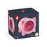 Piggy moneybox J04653 Janod 6