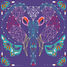 String Art Animal Pictures J07912 Janod 5