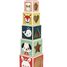 6 wooden blocks Baby Forest J08016 Janod 1