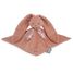 Doudou rabbit terracotta Lapinoo K972208 Kaloo 1