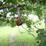 DIY box - Pinecone birdfeeder ED-KG167 Esschert Design 4