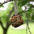 DIY box - Pinecone birdfeeder ED-KG167 Esschert Design 6