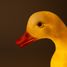 Lamp Duck EG360427 Egmont Toys 5
