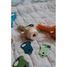 Kidyslide Kids story flashlight - History KW-KIDYSLIDE-HI Kidywolf 6