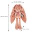 Plush rabbit terracotta 25 cm K969941 Kaloo 3