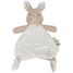 Bunny cuddle cloth Newborn LD8402 Little Dutch 2