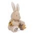 Activity Cuddle Bunny Newborn LD8430 Little Dutch 2