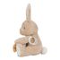 Activity Cuddle Bunny Newborn LD8430 Little Dutch 6