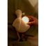 Cuddle Goose Light and Sound LD8440 Little Dutch 7