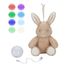 Cuddle Bunny Light and Sound LD8441 Little Dutch 2