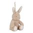 Cuddle Bunny Light and Sound LD8441 Little Dutch 8