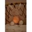 Cuddle Bunny Light and Sound LD8441 Little Dutch 3