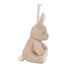 Cuddle Bunny Light and Sound LD8441 Little Dutch 7