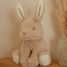 Cuddle Baby Bunny 15 cm LD8450 Little Dutch 2