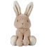 Cuddle Baby Bunny 15 cm LD8450 Little Dutch 1