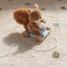 Pull-along Squirrel Forest Friends LD8920 Little Dutch 7