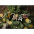 Letter M phosphorescent LL83875 Lilliputiens 4