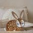 Little Lights Bunny Lamp Chocolate LL008-467 Little Lights 7