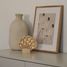 Little Lights Seashell Lamp Coastal Wood LL082-000 Little Lights 4