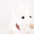 Lola the plush dog 17 cm EG130617 Egmont Toys 3